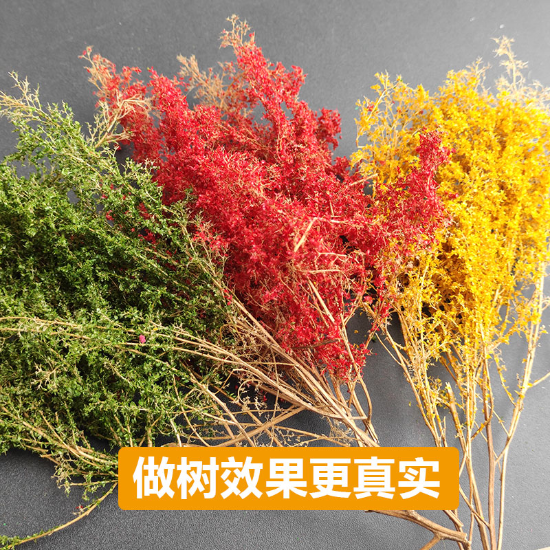 10G/Bag Miniature Tree Leaf Po - Model Kit Locomotive 评论和价格
